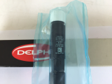 A6650170221 Delphi Fuel Injector-Ssangyong Kyron-Rexton-Rodius-Stavic